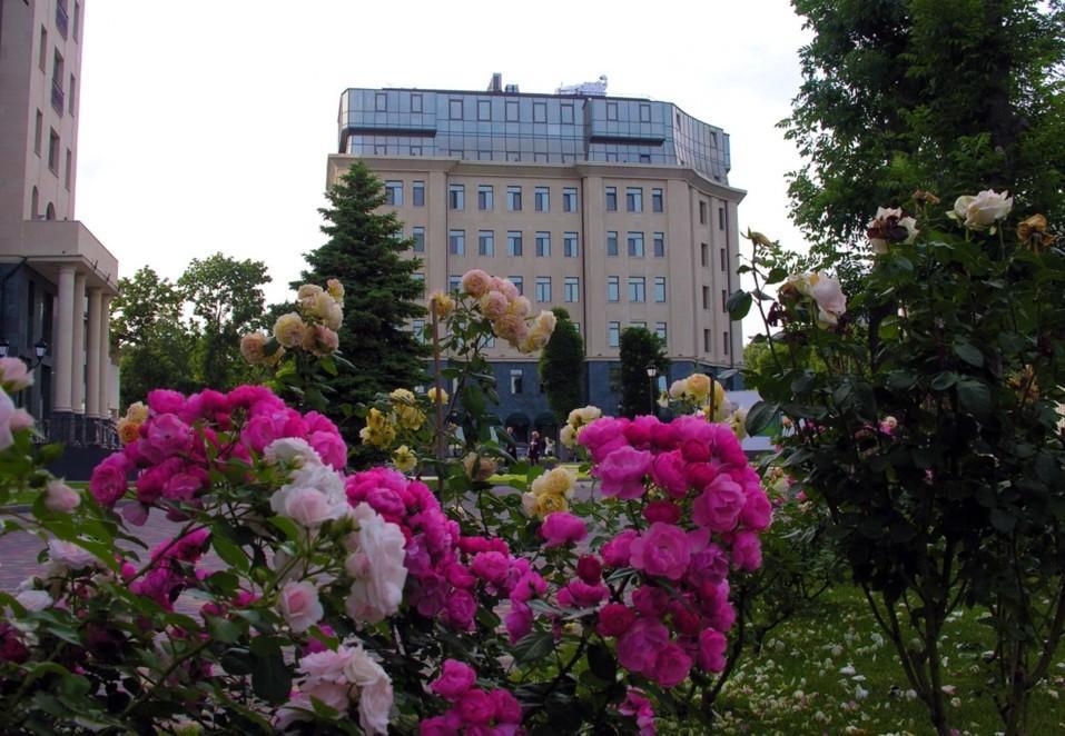 Аrcadia Nataly's Pearls Appartments Одеса Екстер'єр фото